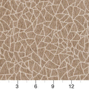 Charlotte - CB800-218 - Fabric by the Yard - CB800-218 - CB800-218_Ruler