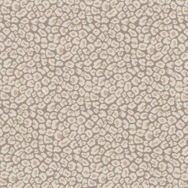 Charlotte - CB800-220 - Fabric by the Yard CB800-220