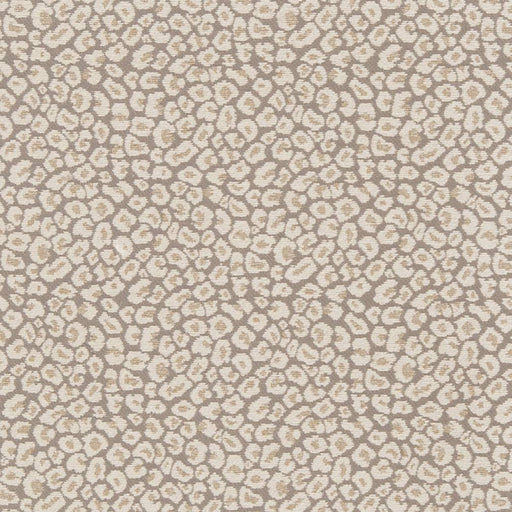 Charlotte - CB800-220 - Fabric by the Yard CB800-220