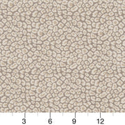 Charlotte - CB800-220 - Fabric by the Yard - CB800-220 - CB800-220_Ruler