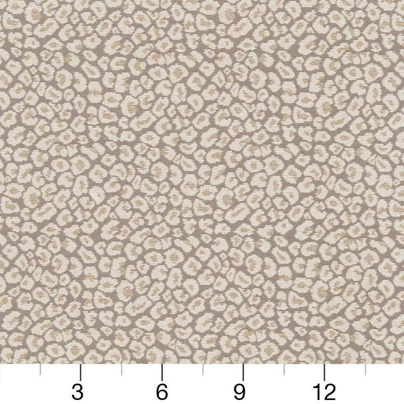 Charlotte - CB800-220 - Fabric by the Yard - CB800-220 - CB800-220_Ruler