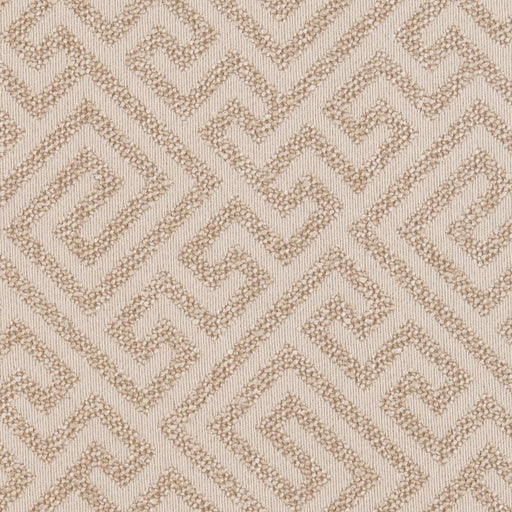Charlotte - CB800-229 - Fabric by the Yard CB800-229