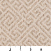 Charlotte - CB800-229 - Fabric by the Yard - CB800-229 - CB800-229_Ruler