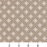 Charlotte - CB800-237 - Fabric by the Yard - CB800-237 - CB800-237_Ruler