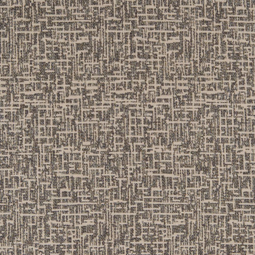 Charlotte - CB800-253 - Fabric by the Yard CB800-253