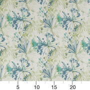 Charlotte - CB800-255 - Fabric by the Yard - CB800-255 - CB800-255_Ruler