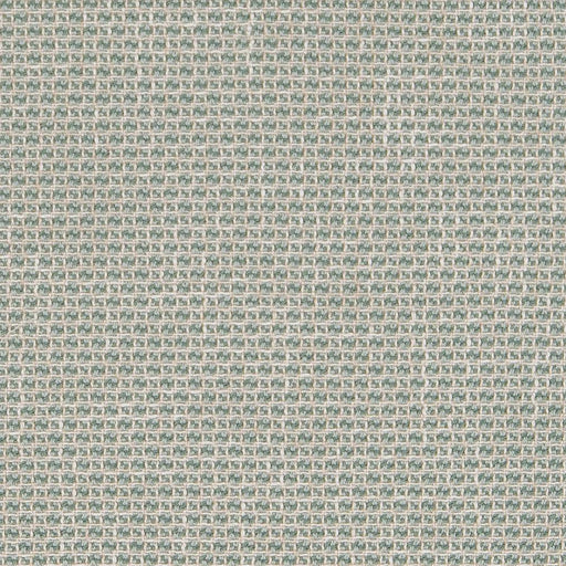 Charlotte - CB800-258 - Fabric by the Yard CB800-258