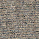 Charlotte - CB800-259 - Fabric by the Yard