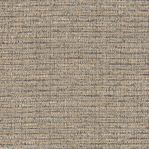 Charlotte - CB800-261 - Fabric by the Yard CB800-261