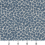 Charlotte - CB800-262 - Fabric by the Yard - CB800-262 - CB800-262_Ruler