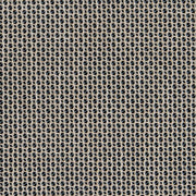 Charlotte - CB800-264 - Fabric by the Yard CB800-264