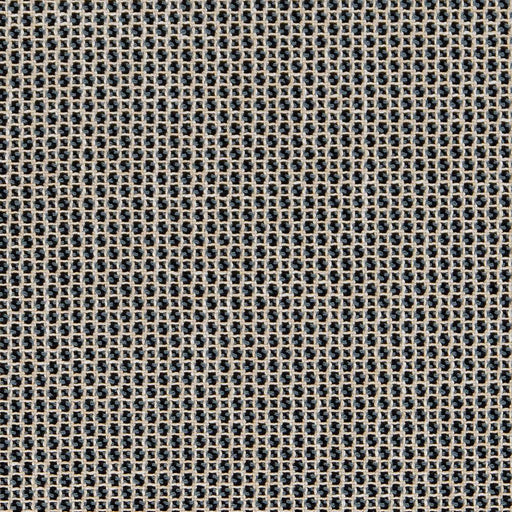 Charlotte - CB800-264 - Fabric by the Yard CB800-264