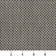 Charlotte - CB800-264 - Fabric by the Yard - CB800-264 - CB800-264_Ruler