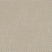 Charlotte - CB800-268 - Fabric by the Yard CB800-268