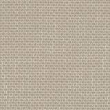 Charlotte - CB800-268 - Fabric by the Yard
