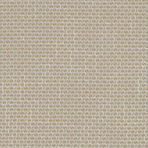 Charlotte - CB800-268 - Fabric by the Yard CB800-268