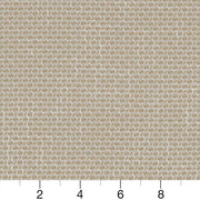 Charlotte - CB800-268 - Fabric by the Yard - CB800-268 - CB800-268_Ruler