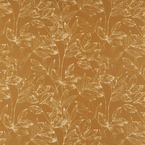 Charlotte - CB800-282 - Fabric by the Yard CB800-282