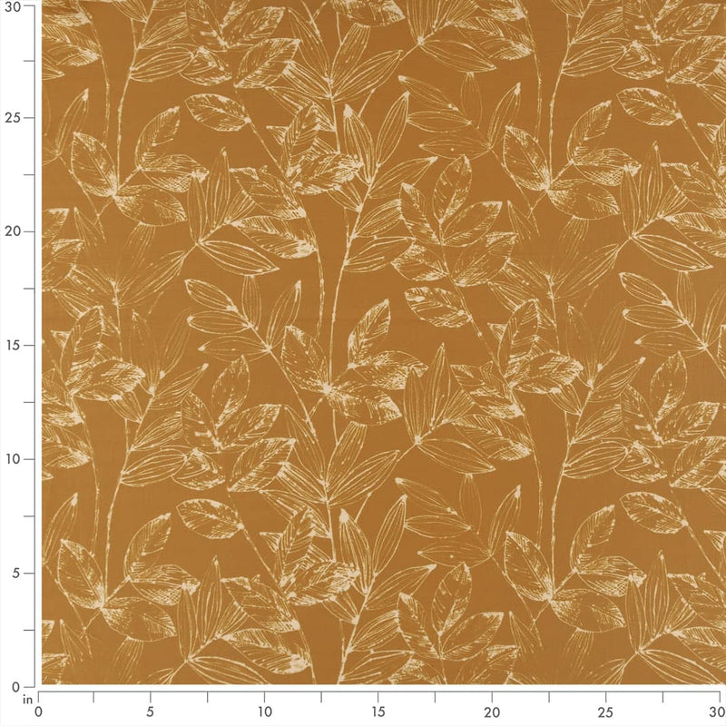 Charlotte - CB800-282 - Fabric by the Yard - CB800-282 - CB800-282_Ruler