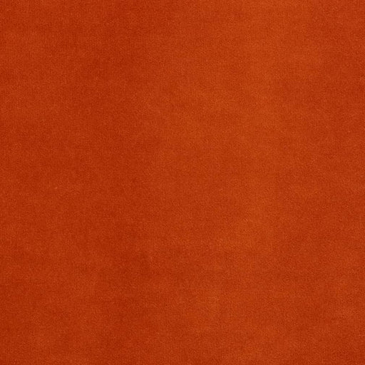 Charlotte - CB800-283 - Fabric by the Yard CB800-283