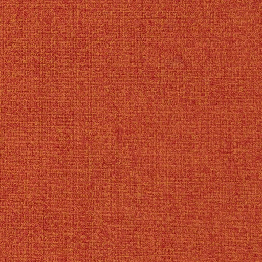 Charlotte - CB800-284 - Fabric by the Yard CB800-284