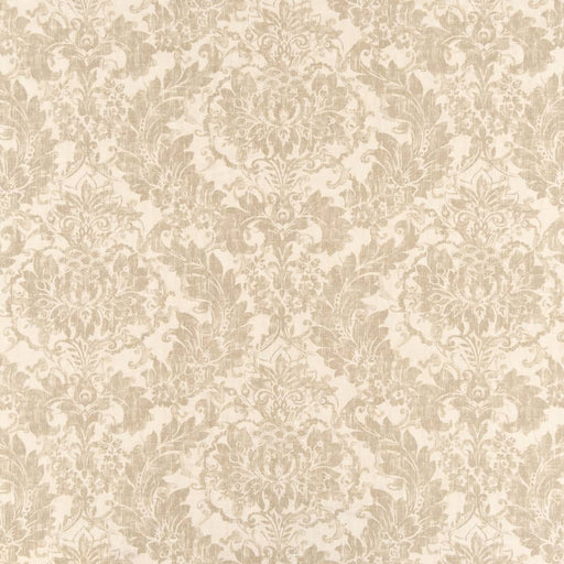 Charlotte - CB800-297 - Fabric by the Yard CB800-297