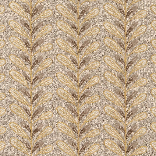 Charlotte - CB800-304 - Fabric by the Yard CB800-304