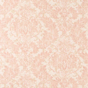 Charlotte - CB800-317 - Fabric by the Yard CB800-317