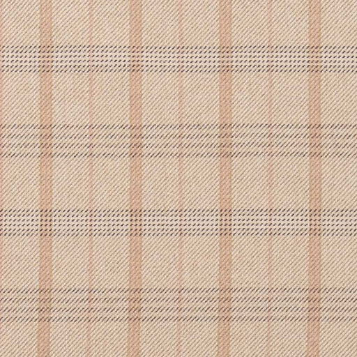 Charlotte - CB800-328 - Fabric by the Yard CB800-328