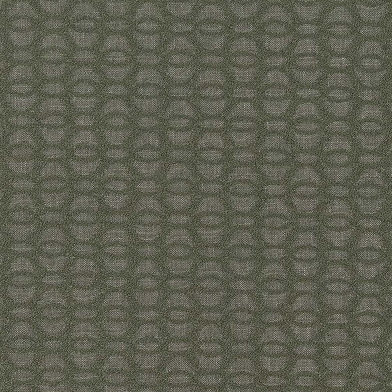 Charlotte - CB800-366 - Fabric by the Yard CB800-366