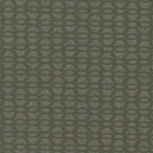 Charlotte - CB800-366 - Fabric by the Yard CB800-366