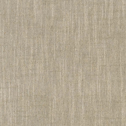 Charlotte - CB800-374 - Fabric by the Yard CB800-374