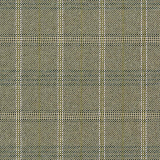 Charlotte - CB800-378 - Fabric by the Yard CB800-378