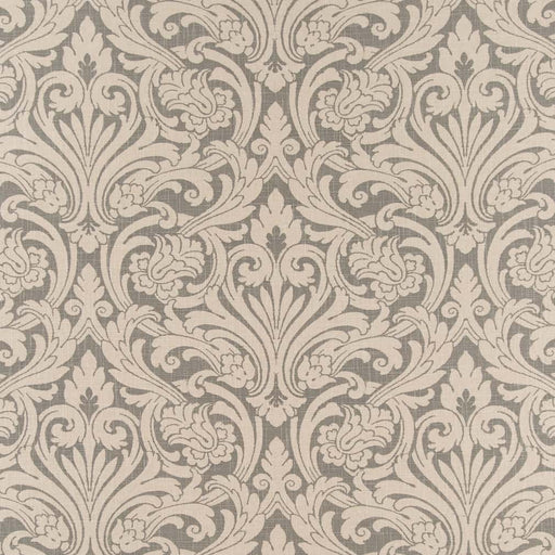 Charlotte - CB800-393 - Fabric by the Yard CB800-393