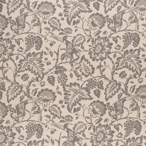 Charlotte - CB800-398 - Fabric by the Yard CB800-398