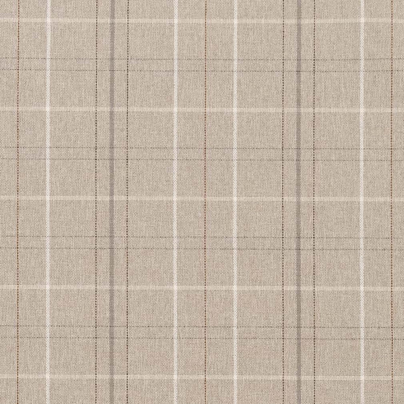 Charlotte - CB800-403 - Fabric by the Yard CB800-403
