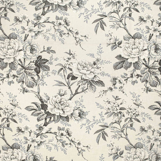 Charlotte - CB800-408 - Fabric by the Yard CB800-408