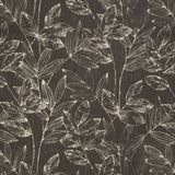 Charlotte - CB800-410 - Fabric by the Yard