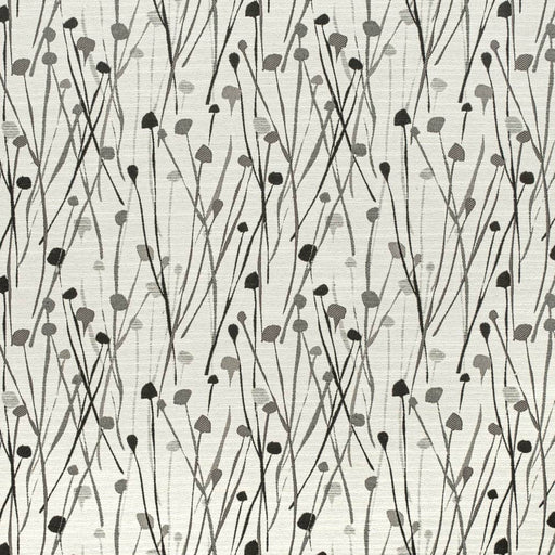 Charlotte - CB800-423 - Fabric by the Yard CB800-423