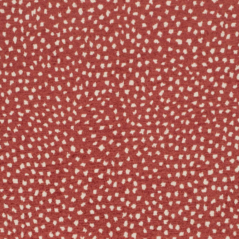Charlotte - CB800-433 - Fabric by the Yard CB800-433