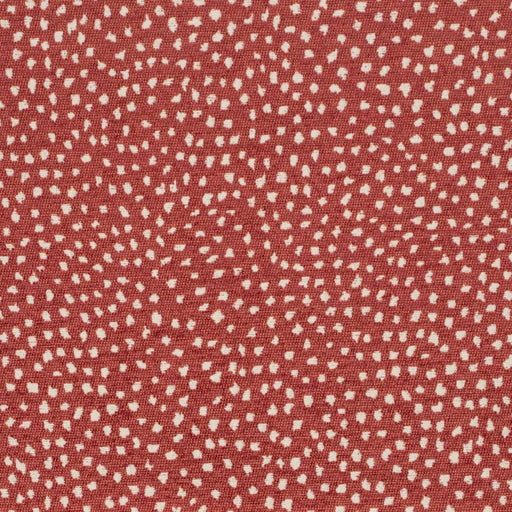 Charlotte - CB800-433 - Fabric by the Yard CB800-433