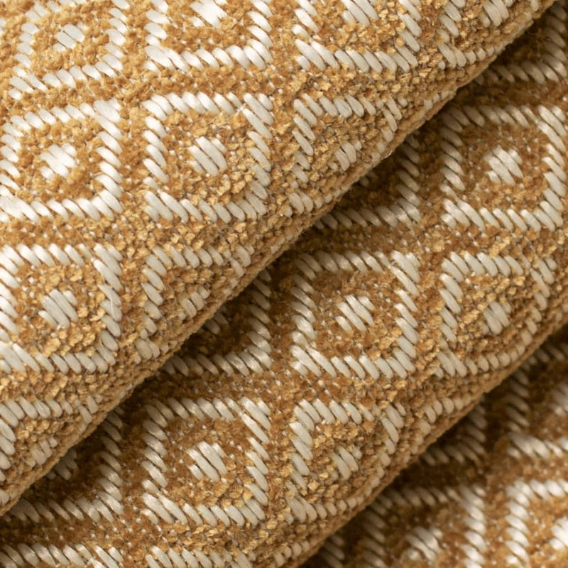 Charlotte - CB800-442 - Fabric by the Yard - CB800-442 - CB800-442_Rolled