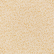 Charlotte - CB800-452 - Fabric by the Yard CB800-452