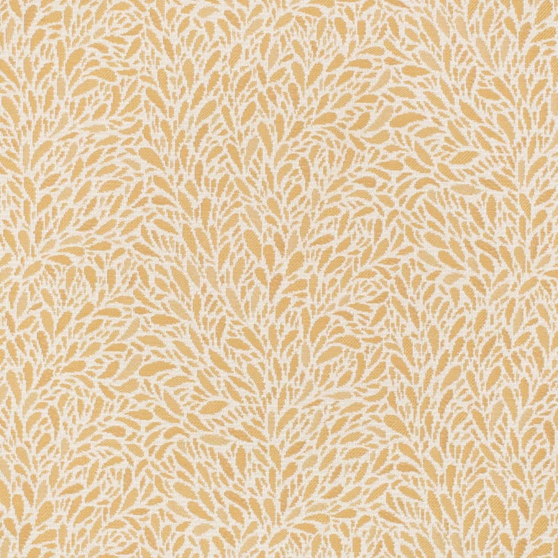 Charlotte - CB800-452 - Fabric by the Yard CB800-452