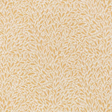 Charlotte - CB800-452 - Fabric by the Yard