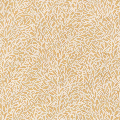 Charlotte - CB800-452 - Fabric by the Yard CB800-452