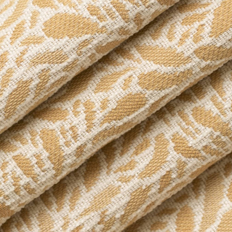 Charlotte - CB800-452 - Fabric by the Yard - CB800-452 - CB800-452_Rolled