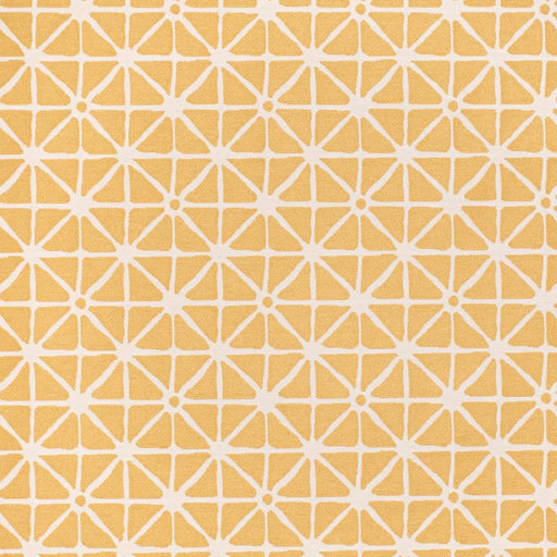 Charlotte - CB800-453 - Fabric by the Yard CB800-453