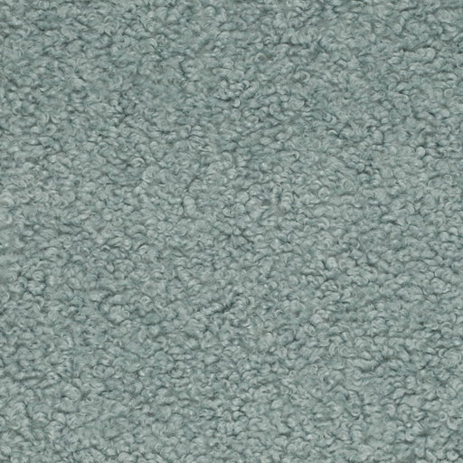 Charlotte - CB800-459 - Fabric by the Yard CB800-459