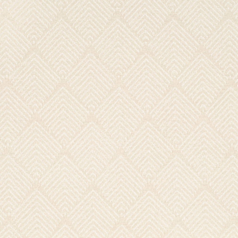 Charlotte - CB800-479 - Fabric by the Yard CB800-479